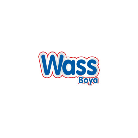 WASS PÜRÜZLENDİRİCİ 10/1