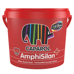 FİLLİ AMPHİSİLAN ARTI DIŞ CEPHE 20/1
